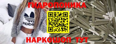 шишки Гагарин