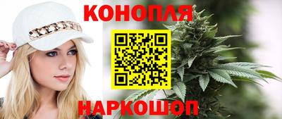 шишки Гагарин