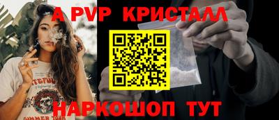 шишки Гагарин
