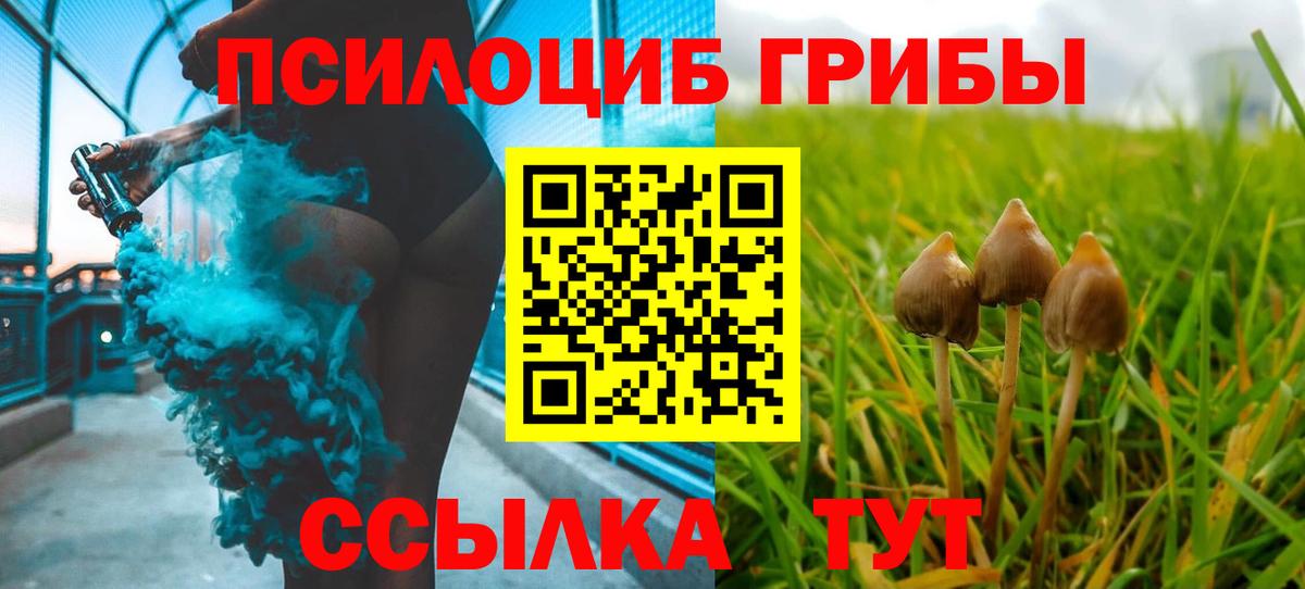 цены наркотик  Псилоцибиновые грибы MAGIC MUSHROOMS  Вход с VPN  Муром  Псилоцибиновые грибы Psilocybine cubensis 